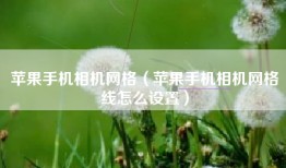 苹果手机相机网格（苹果手机相机网格线怎么设置）