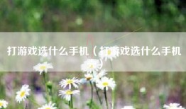 打游戏选什么手机（打游戏选什么手机壳）