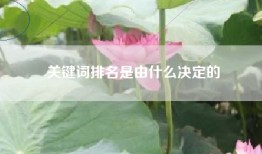 关键词排名是由什么决定的