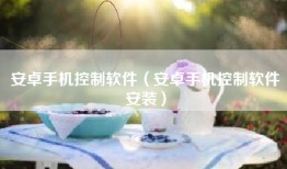 安卓手机控制软件（安卓手机控制软件安装）