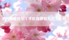 手机背景音乐（手机背景音乐怎么去掉）