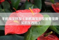 手机淘宝好友（手机淘宝好友能看见我买的东西吗）