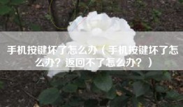 手机按键坏了怎么办（手机按键坏了怎么办？返回不了怎么办？）