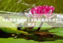 手机屏幕有光点（手机屏幕有光点怎么解决）