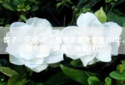 饺子：失业6年，靠母亲退休金生活3年，如今靠“哪吒”身家过亿