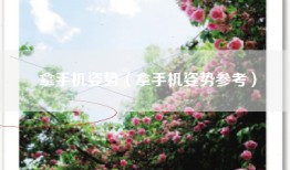拿手机姿势（拿手机姿势参考）