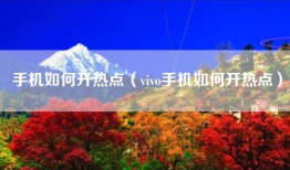 手机如何开热点（vivo手机如何开热点）
