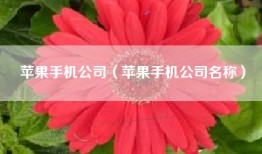苹果手机公司（苹果手机公司名称）