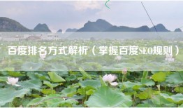 百度排名方式解析（掌握百度SEO规则）
