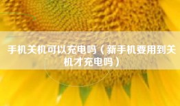 手机关机可以充电吗（新手机要用到关机才充电吗）