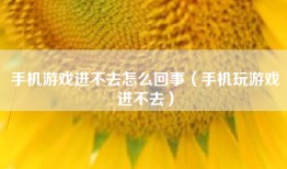 手机游戏进不去怎么回事（手机玩游戏进不去）