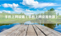 手机上网设置（手机上网设置参数）