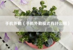手机外勤（手机外勤模式有什么用）