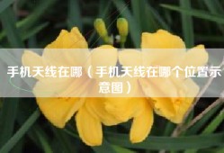 手机天线在哪（手机天线在哪个位置示意图）