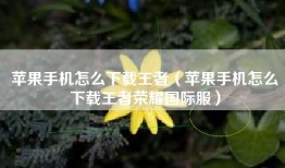 苹果手机怎么下载王者（苹果手机怎么下载王者荣耀国际服）