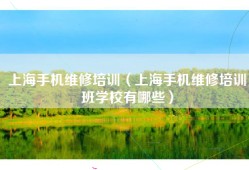 上海手机维修培训（上海手机维修培训班学校有哪些）