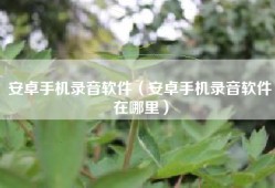 安卓手机录音软件（安卓手机录音软件在哪里）