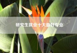 研究生就业十大最好专业