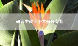 研究生就业十大最好专业