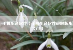 手机配音软件（手机配音软件破解版永久VIP）
