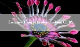 Exclusive Thought Leadership from CEIBS