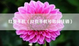 红豆手机（红豆手机号如何注销）