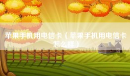 苹果手机用电信卡（苹果手机用电信卡怎么样）