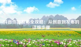 抖音作品发布全攻略：从创意到发布的详细步骤