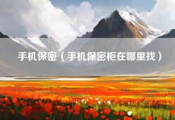 手机保密（手机保密柜在哪里找）