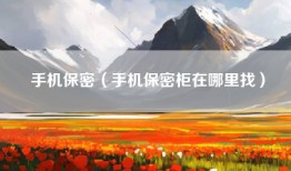 手机保密（手机保密柜在哪里找）