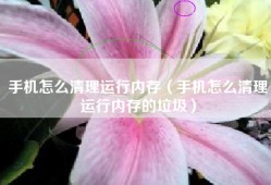 手机怎么清理运行内存（手机怎么清理运行内存的垃圾）