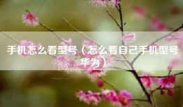 手机怎么看型号（怎么看自己手机型号华为）