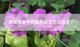 建筑专业中级职称论文怎么发表？