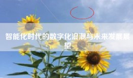 智能化时代的数字化浪潮与未来发展展望