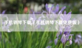 手机钢琴下载(手机钢琴下载免费版)