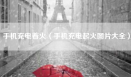 手机充电着火（手机充电起火图片大全）