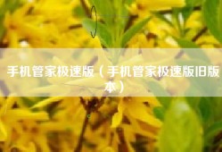 手机管家极速版（手机管家极速版旧版本）