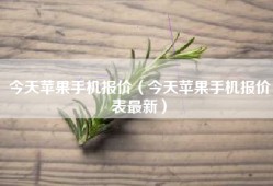 今天苹果手机报价（今天苹果手机报价表最新）