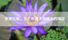 未来三年，五个利润大得惊人的项目