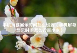 手机屏幕显示时间怎么设置（手机屏幕显示时间怎么设置小米）