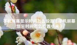手机屏幕显示时间怎么设置（手机屏幕显示时间怎么设置小米）
