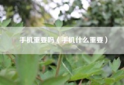 手机重要吗（手机什么重要）