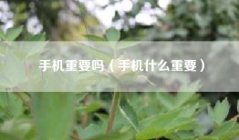 手机重要吗（手机什么重要）
