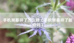 手机屏幕碎了怎么修（手机屏幕碎了能修吗）