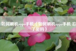 如何刷机oppo手机（如何刷机oppo手机 忘了密码）