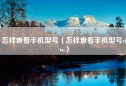 怎样查看手机型号（怎样查看手机型号vivo）