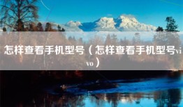 怎样查看手机型号（怎样查看手机型号vivo）