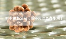 听不见怎么办（听不见怎么办华为）