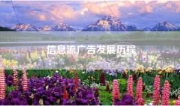 信息流广告发展历程