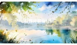 自媒体职业分析
